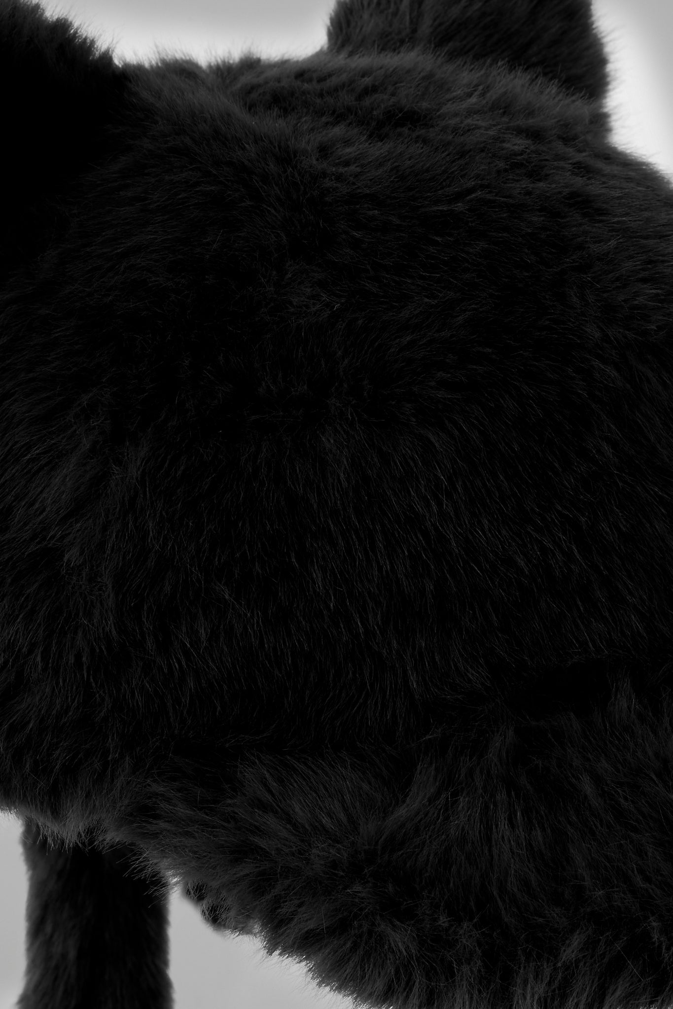 Black  Plush Cat Ears Hat